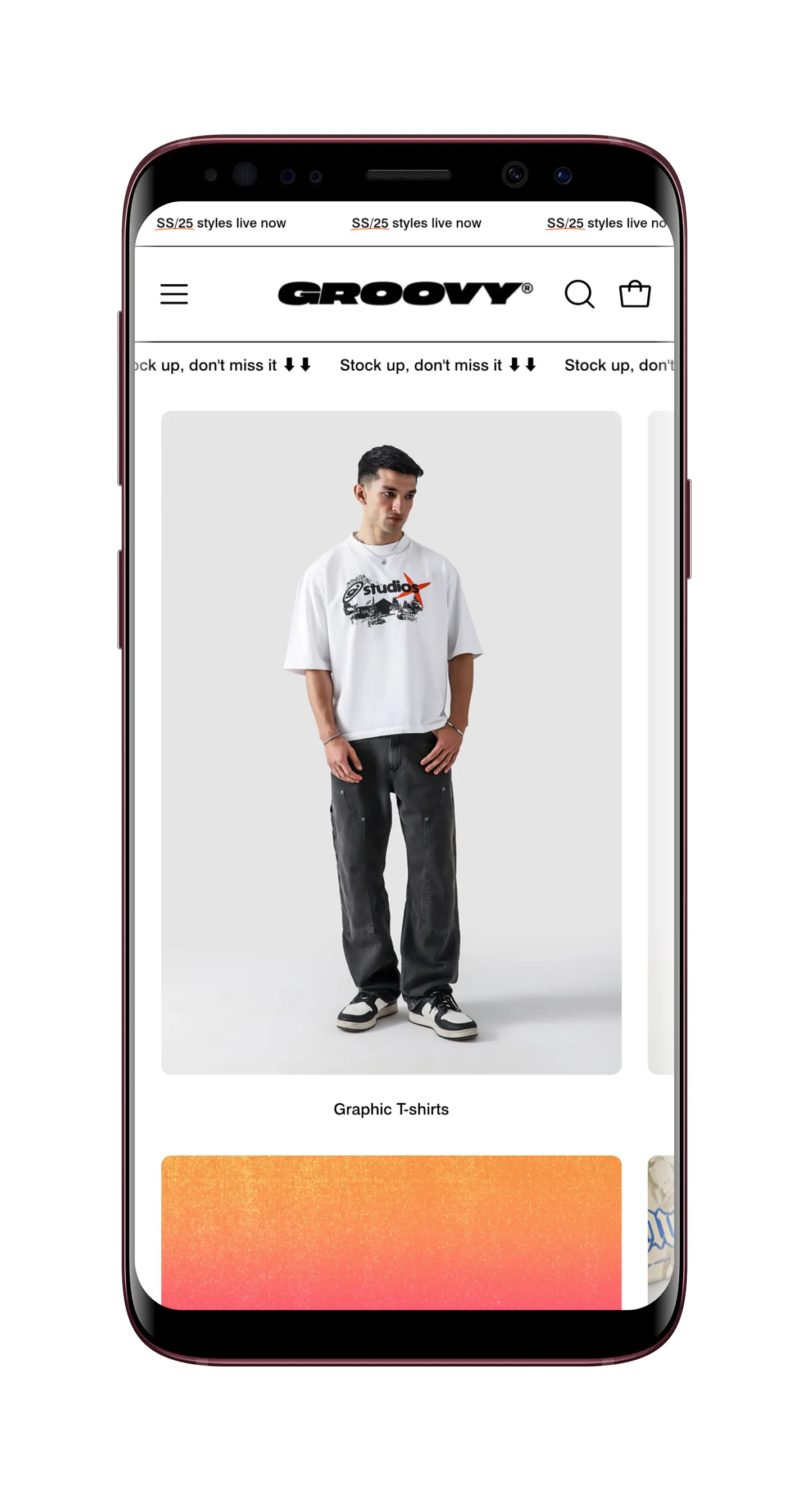 Website Development for Groovy Pakistan - Image 3